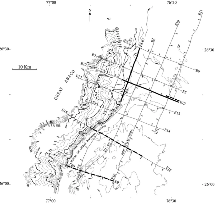 Figure 21: Plan de position des lignes sismiques de la campagne Eleuthera. 
