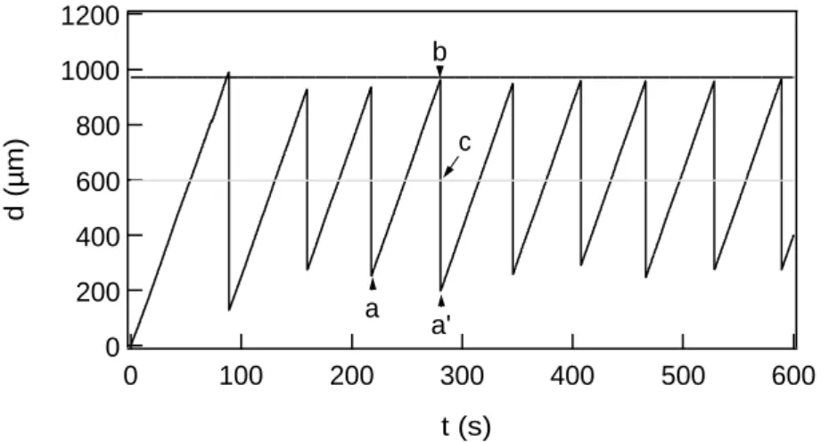 Fig. 1.3 – Evolution typique de la flexion d de la lame en fonction du temps t.