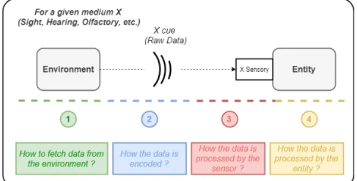 Figure 1: Schématisation de la perception et des différentes étapes