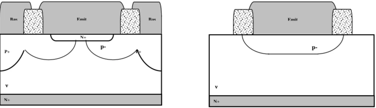 Figure 10. Coupes des différents composants à structures verticales compatibles, réalisables  via le procédé technologique de filière mis au point au CIME