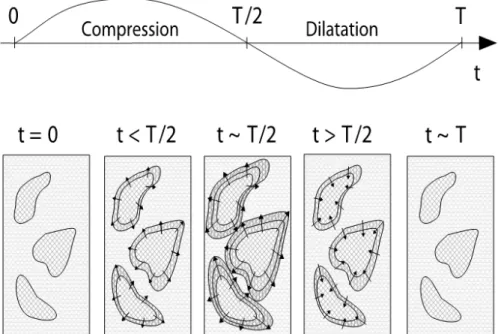 Figure 4.1: Illustration of the concept of Wave Induced Fluid Flow (from Müller et al., 2010)