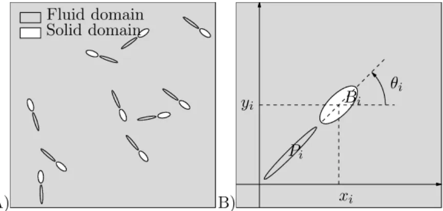 Figure 1.1 – A) Domain Ω is made of a solid domain B (collection of rigid bodies of the bacteria) and a fluid domain Ω \ B 