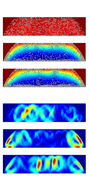 Figure 1.7 – Dense suspension, oxygen distribution (left) and modulus of the fluid velocity (right) in a drop domain at different time steps t n = n∆t