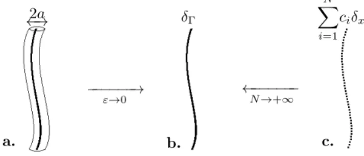 Figure 2.1 – Modeling ot the slender body : a. For a cylindrical slender body of radius a, the volumic force is of order ε − 2 , such that the total force stays constant when ε tends to 0