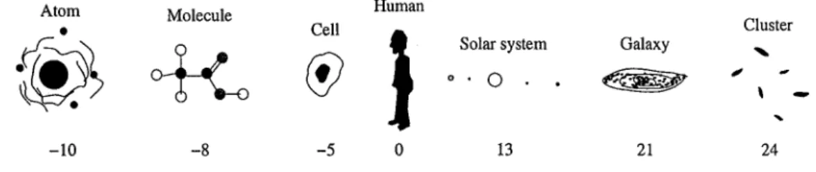 FIG.  1  - Echelles  d'organisation  de  la matière.  La  dimension  est  indiquée  en  puissance  de  10  mètres