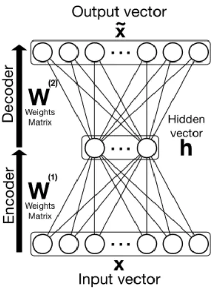 Figure 2.2: Autoencoder model. Biases are omitted for the sake of simplicity.