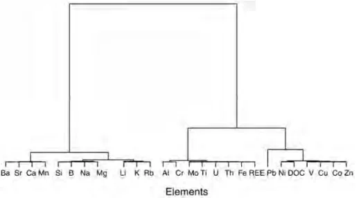 Figure  II.  5.   Ascending  hierarchical  classification  of  elements  following  the  ward  criterion  (Lebart  and  Morineau, 2000)