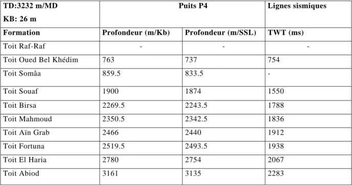 Tableau 6.2. Calage au puits 4 TD:3232 m/MD 