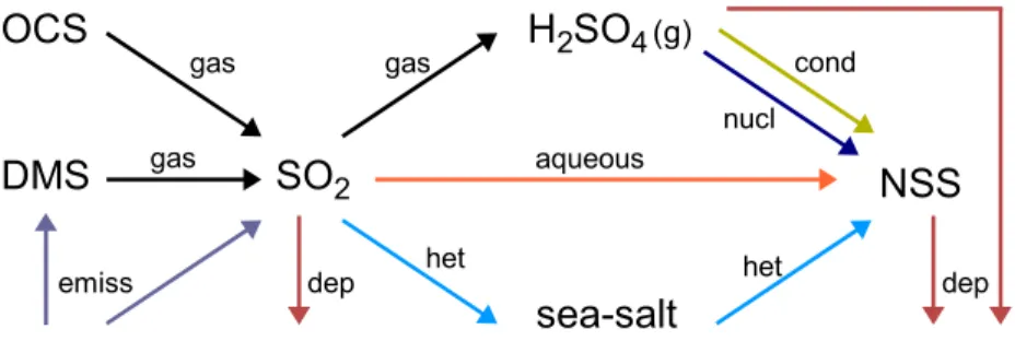 Fig. 1. The chemical and physical processes represented in the model by which SO 2 is pro- pro-duced and converted to H 2 SO 4 (g) and non-sea-salt sulfate (NSS)