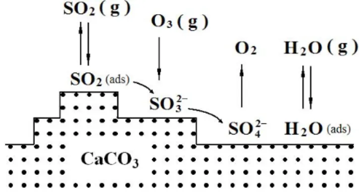 Fig. 10. Schematic diagram of the mechanism of SO 2 oxidation by O 3 on CaCO 3 surface