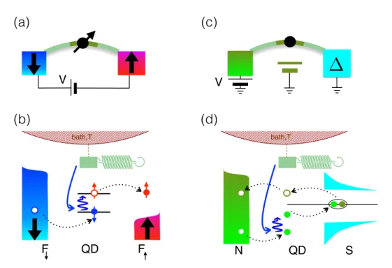 Figure 1.5: (a) The spin of the quantum dot states is coupled to the flexural modes of the nanotube suspended between two ferromagnetic contacts of opposite polarization