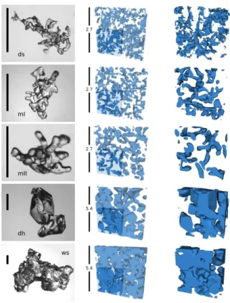 Fig. 1. Typical grain forms and corresponding 3-D-structures of the di ff erent snowtypes: (from top to bottom) decomposing snow, metamorphosed I, metamorphosed II, depth hoar, and wet snow