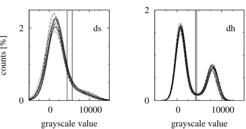 Fig. 3. Histograms of the filtered 3-D grayscale tomography images. Shown are all tomograms for decomposing snow and depth hoar