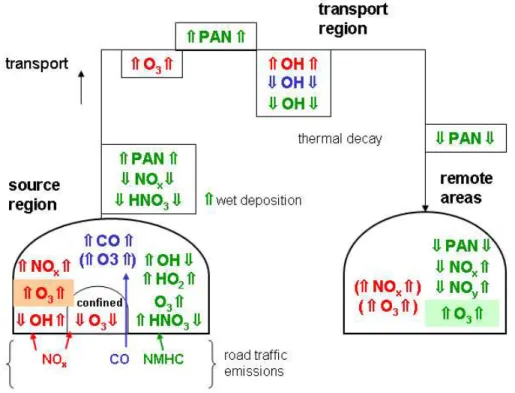 Fig. 8. Scheme illustrating the impact of individual components of road traffic emissions on atmospheric composition: NO x (red), CO (blue), NMHCs (green)
