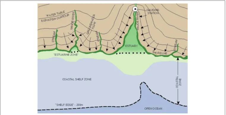 FIGURE 1 | Schematic of the coastal zone showing water table contours and terrestrial groundwater flow paths