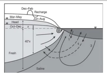 FIGURE 2 | Flow paths and some of the driving forces of SGD. Mechanisms shown include: (1) tidal pumping, (2) nearshore circulation due to tides and waves, (3) saline circulation driven by dispersive entrainment and brackish discharge, and (4) seasonal exc