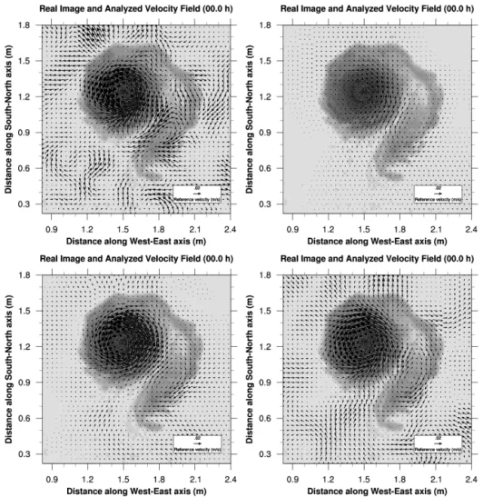 Figure 8. Analyzed initial velocity field computed by direct image sequence assimilation with different image observation operators: iden- iden-tity operator (top left panel); curvelet decomposition and hard thresholding (top right panel); curvelet decompo