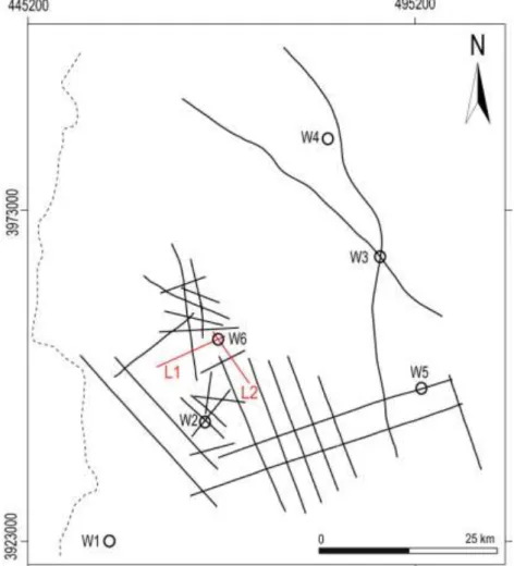 Fig. 2: Map showing locations of seismic lines in the NW study area of Tunisia. W1-W6: oil wells