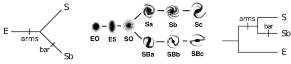 Fig. 5. Left: the unrooted tree that can be built with three objects (see Table 2). Middle: