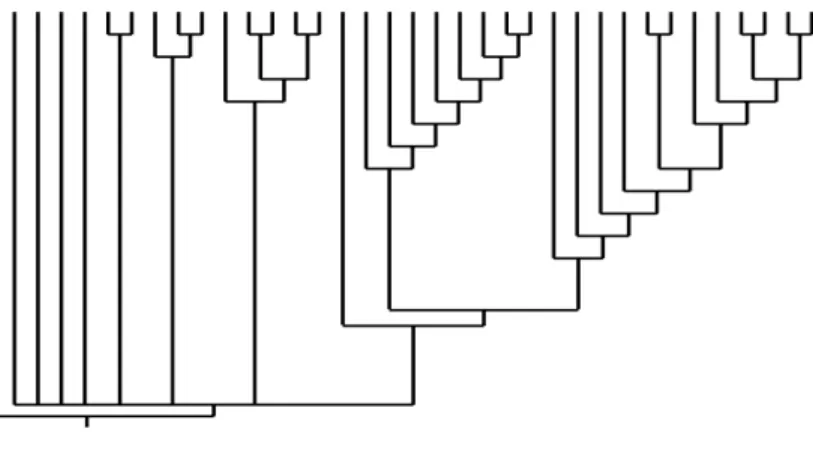 Fig. 9. Strict consensus tree (100% nodes only).