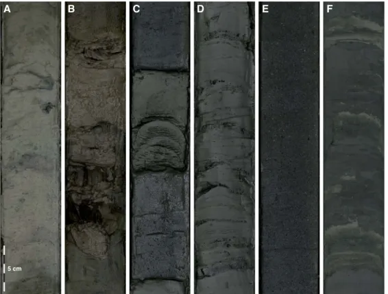 Figure F6. Representative examples of major lithologies recovered in Hole U1451B. A. Nannofossil-rich calcareous clay (1H-2, 79–101 cm)