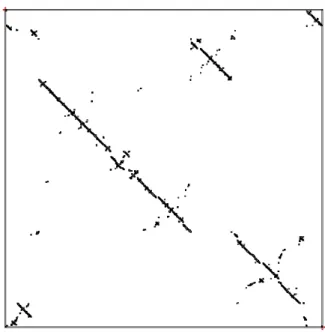 Figure 9. Simulation : le support d’une réalisation du permuton brownien sépa- sépa-rable de biais p = 0.2 .