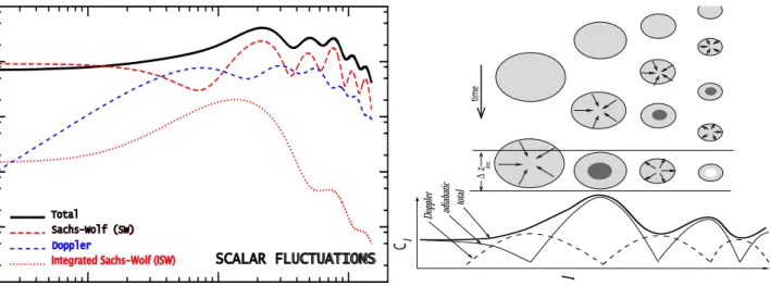Figure 2: The expected shape of the angular power spectrum of the temperature anisotropies, C(ℓ) (times ℓ 2 to give the logarithmic contribution of each scale to the variance)