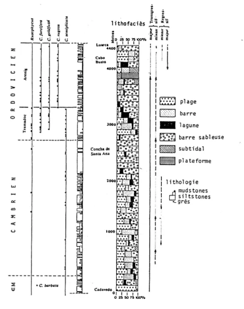 Fig. 16  ï   Colonne  strac¿graphique  de  la Série  de Cabos  Coupe  de  Cabos  de  Busco  (Luarca)(d'après' Baldwin  ( 1975)).