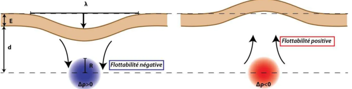 Figure 8 : Déformation de la lithosphère causée par des anomalies de densités dans le  manteau 