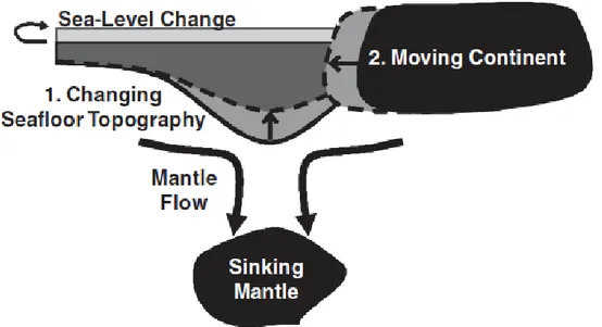 Figure 10 : Mécanismes de variations du niveau marin provoquées par la topographie  dynamique (Conrad and Husson, 2009) 