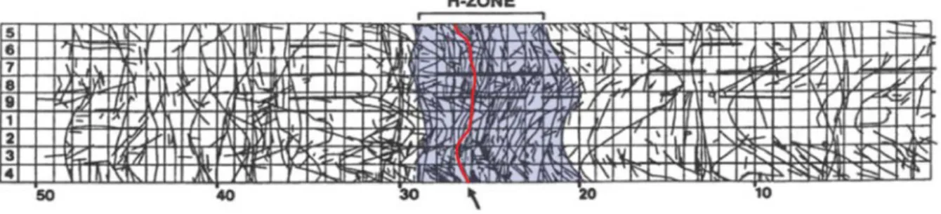 Fig. 1-14. Représentation de la chennalisation à l’échelle de la fracture. Le flux est représenté  par l’échelle de couleur (bleue pour les valeurs de flux faibles, au rouge pour les intensités maximales)