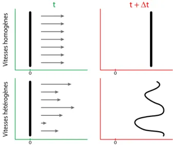 Figure 1.6 – Evolution temporelle d’une ligne de soluté par advection pure lorsque le champ de vitesse (indiqué par les flèches grises) est uniforme (ligne supérieure) et lorsque celui-ci est non-uniforme (ligne inférieure).