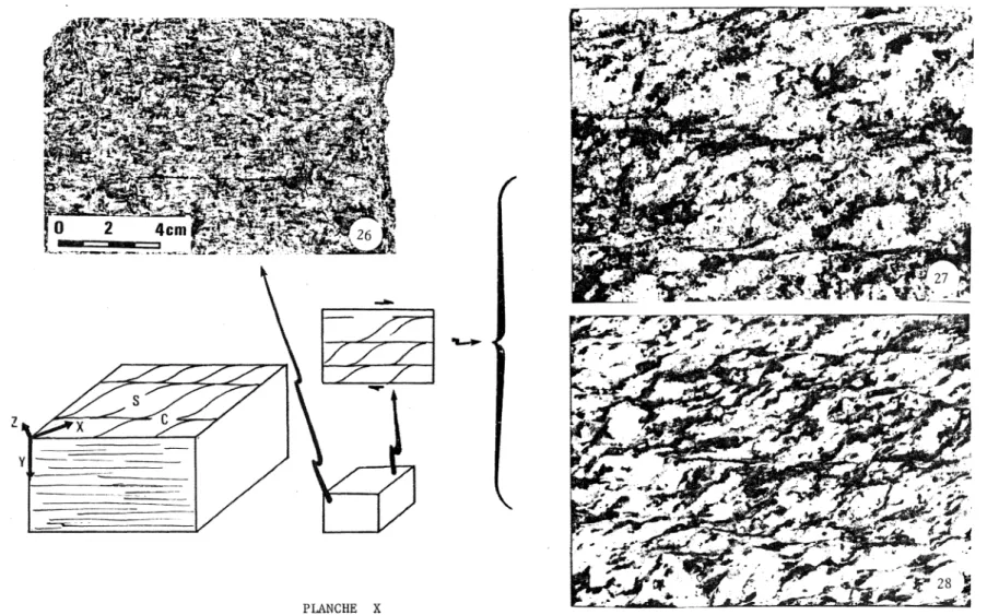 Fig 35  :  Bloc diagramme schématique  résumant  la position des  surfaces  C  »des  surfaces  S»