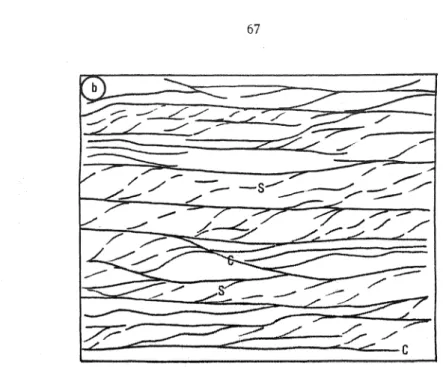 Fig  40  ;   Micrographie  du  stade B  ; il y  a augmentation du nombre des  surfaces  C et  réduction de  1*angle C  S par  rotation des  surfaces  S  .