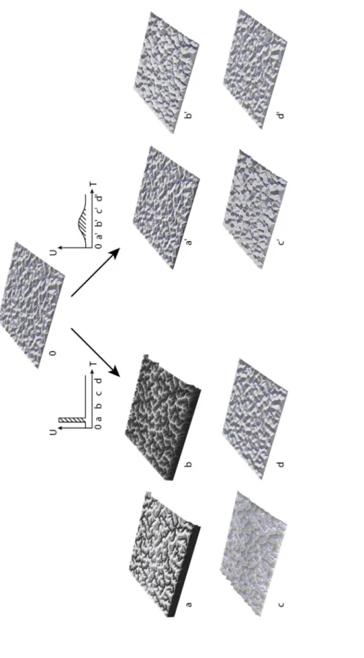 Figure 3 : Simulations numériques représentant l’évolution d’un paysage pour une même quantité d’uplift introduite dans le modèle  (hachures) mais à des vitesses différentes