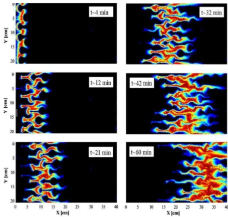 Figure 1.7: Concentration field of the reaction product from the laboratory experiment performed by Oates and Harvey [2006]