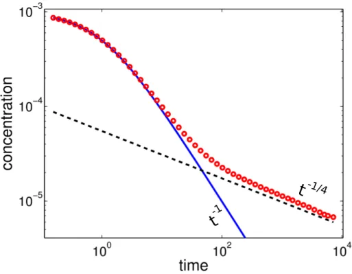 Figure 1.9: Red dots represent the temporal evolution over several orders of magnitude (scaling law) of a reactant undergoing an irreversible bimolecular reaction in a well mixed one dimensional domain, in presence of initial spatial fluctuations