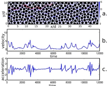 Figure 1. a) The amplitude of the pore scale velocity field nor- nor-malized by the average Lagrangian velocity