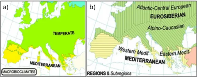 Fig. 5. Bioclimatic a) and biogeographic b) maps of Europe (from Rivas-Martínez, 2007)