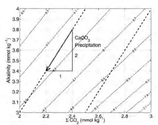 Figure  2.1  :  Effet  de  la  précipitation  de  carbonates  sur  l'alcalinité  et  le  carbone  inorganique  total  dissous (  CO 2  ou DIC) (Zeebe et Sanyal, 2002)