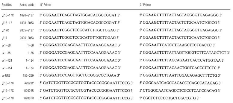 Figure 1 Models of the self-association site and of the recombinant peptides used in this study The positions of residues corresponding to the beginning and end of each recombinant peptide are indicated by arrows.