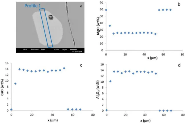 Fig. 6. Development of whisker crystals. a) The whiskers appeared on the edge of the refractory disk, and were usually concentrated in one area
