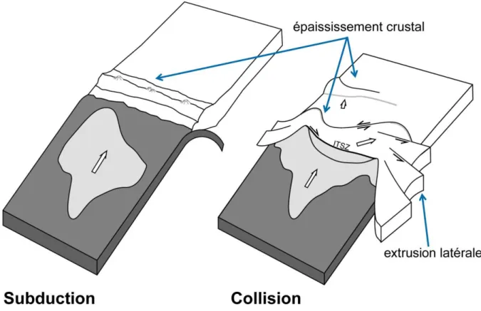 Figure  I.5.3 :  Schéma  de  la  collision  entre  l'Inde  et  l'Eurasie  montrant  les deux  mécanismes  accommodant  la  déformation : l'épaississement crustal et l'extrusion (modifié d'après Avouac, 2003)