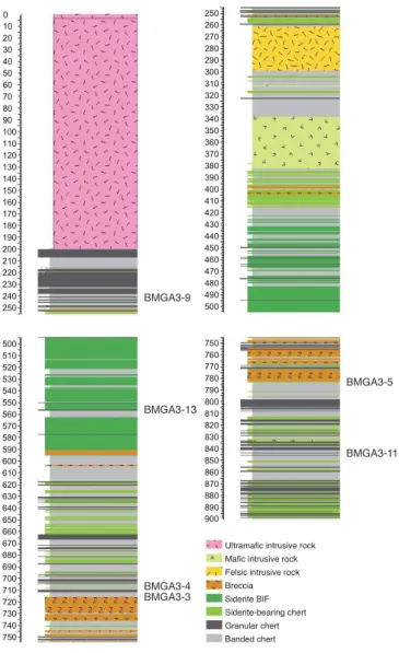 Fig. 2.3: Stratigraphic log identifying lithologies cutted by the BARB 3 core and localization of collected samples.