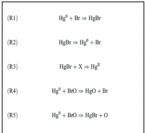 Figure  9  :  Mécanisme  réactionnel  potentiel  entre  Hg  et Br dans l’atmosphère conduisant à la formation de  mercure réactif (Seigneur and Lohman 2008)