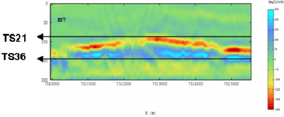 Figure 1-8 - Section verticale crossline campagne S97, montrant l’intervalle temps correspondant au  groupe réservoir Marlim (TS21 à TS36)