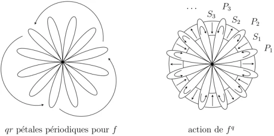 Figure 4. Dynamique de l’application f : z 7→ e 2iπ p q z(1 + z qr ) ; ici q = 3, p = 1, r = 2, il y a deux orbites de p´etales attractifs et deux orbites de p´etales r´epulsifs