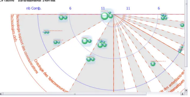 Figure 19.  Visualisation des groupes de compétences sur la Telecom Valley. 