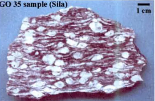 Fig. I.5A - Gneiss occhiadino (Serre) (Augen gneiss, Serre)