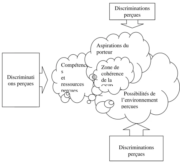 Figure 2: Un modèle de la CSI-D-P (Configuration Stratégique Instantanée et Discriminations Perçues) 133 